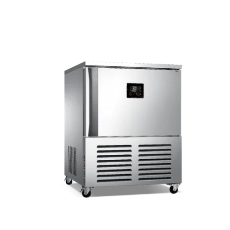 DEEP COLD STORAGE-80℃ (1)