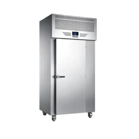 RealmannTROLLEY TYPE BLAST CHILLER (2)