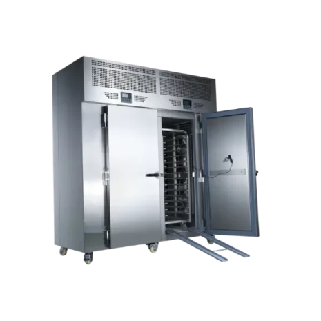 RealmannTROLLEY TYPE BLAST CHILLER (3)