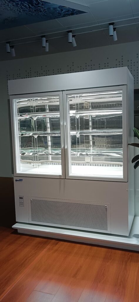 White double door commercial display fridge in a showroom setting