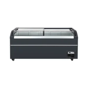 Commercial Curved Glass Display Freezer (1)