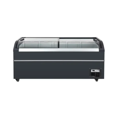 Commercial Curved Glass Display Freezer (1)