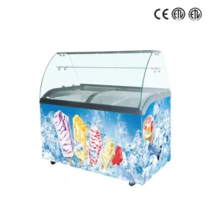 Commercial Curved Glass Display Freezer (2)