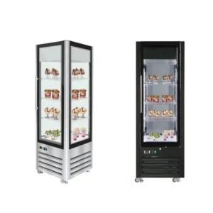 Commercial Upright Ice Cream Display Freezer (1)