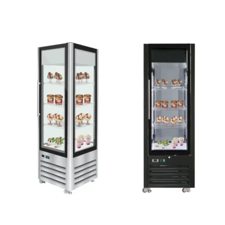 Commercial Upright Ice Cream Display Freezer (1)