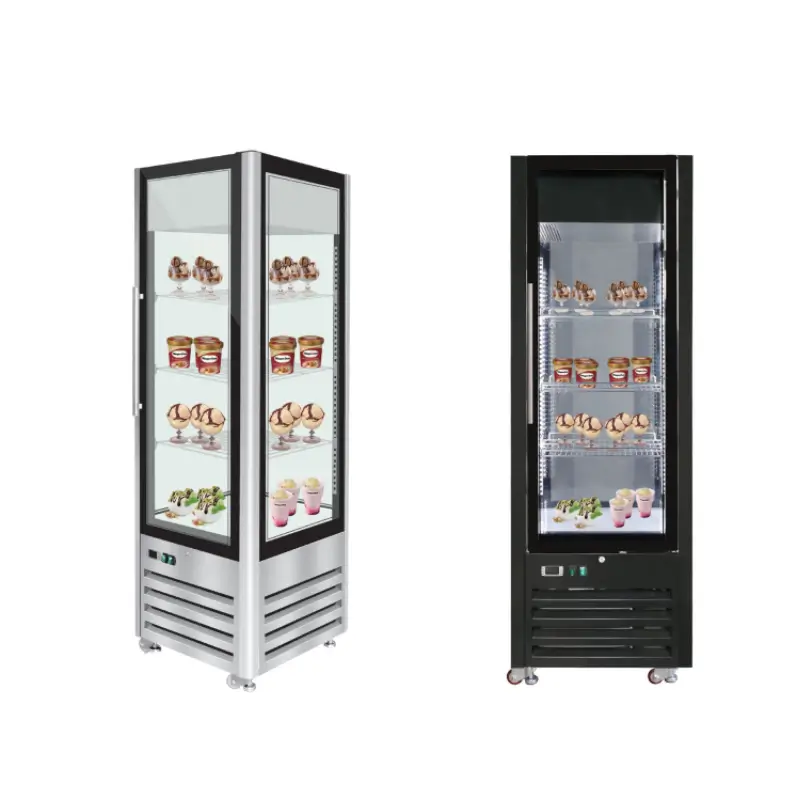 Commercial Upright Ice Cream Display Freezer (1)