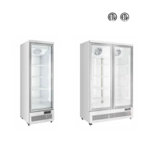 Flat Top Commercial Display Freezer