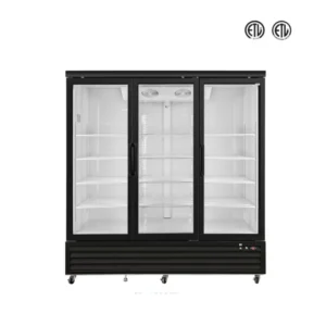 Flat Top Glass Door Display Freezer (1)