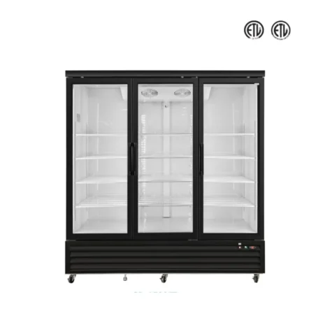 Flat Top Glass Door Display Freezer (1)