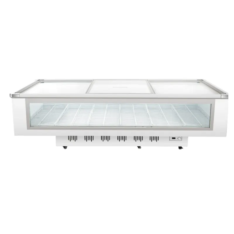 Seafood Display Freezer (1)
