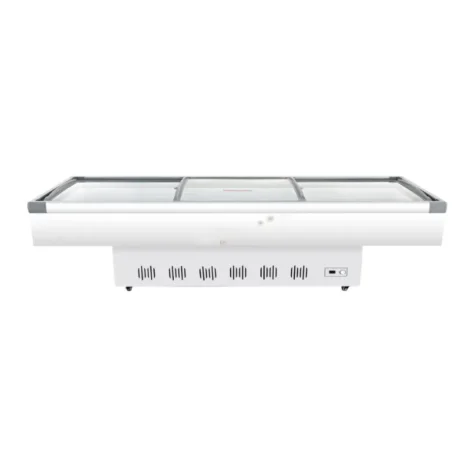 Seafood Display Freezer