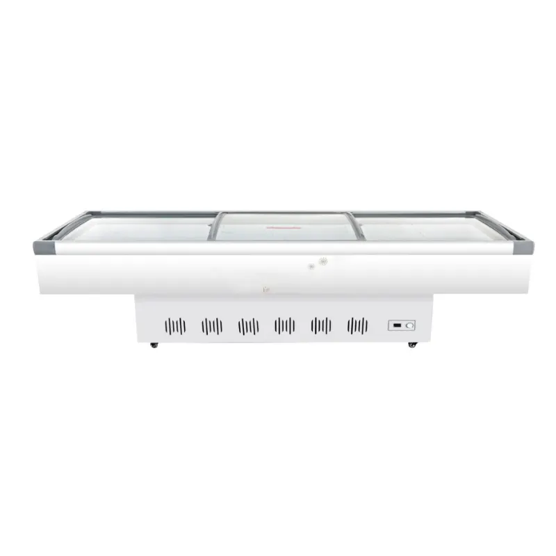 Seafood Display Freezer