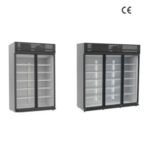 Top Mounted Glass Door Display Refrigerator (1)